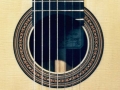 rosette
