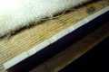 Deckenreparatur einer D. Rubio Gitarre: