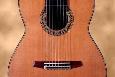 8-saitige Gitarre, Zeder Doubletop / Honduraspalisander, Baujahr 2016