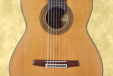 traditional model, 7-string, Made in 2006